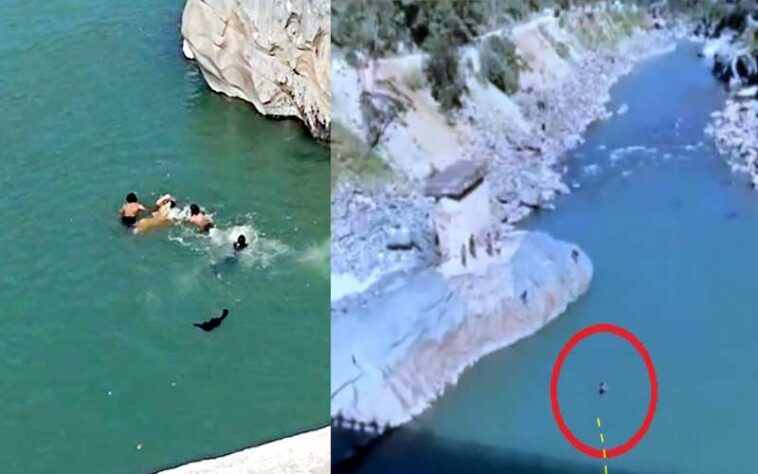 Himachal News Alert: युवती को रील बनाना पड़ा भारी! पुल से सतलुज नदी में गिरी, ऐसे बची जान Himachal News Alert: युवती को रील बनाना पड़ा भारी! पुल से सतलुज नदी में गिरी, ऐसे बची जान