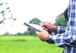 Himachal News Update: हिमाचल के युवाओं को कृषि विभाग में प्राइवेट सर्वेयर बनने का सुनहरा मौका! यहां करे अप्लाई