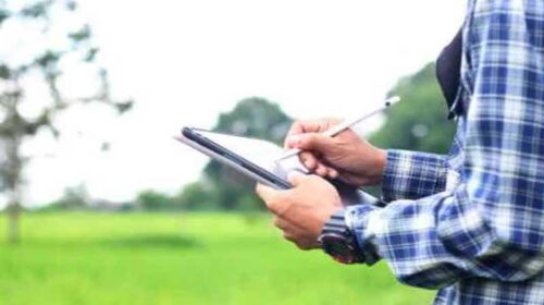 Himachal News Update: हिमाचल के युवाओं को कृषि विभाग में प्राइवेट सर्वेयर बनने का सुनहरा मौका! यहां करे अप्लाई