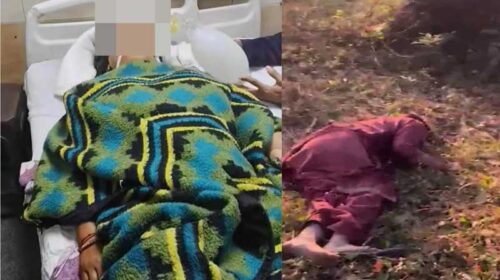 दुखद: 14 वर्षीय नाबालिग के हमले से घायल महिला की पीजीआई चंडीगढ़ में मौत, पीछे छूटा दिव्यांग बेटा दुखद: 14 वर्षीय नाबालिग के हमले से घायल महिला की पीजीआई चंडीगढ़ में मौत, पीछे छूटा दिव्यांग बेटा