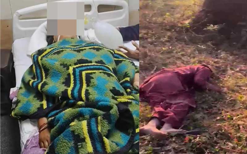 दुखद: 14 वर्षीय नाबालिग के हमले से घायल महिला की पीजीआई चंडीगढ़ में मौत, पीछे छूटा दिव्यांग बेटा