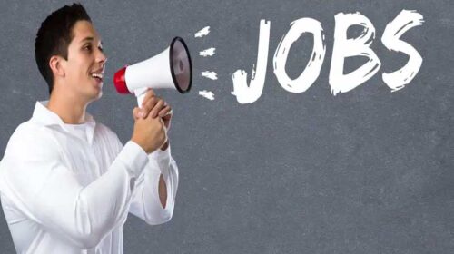 Jobs In Himachal: पूर्व प्राथमिक कक्षाओं के लिए आया व हेल्पर के 143 पदों पर भर्ती! यहां होंगे कैंपस इंटरव्यू