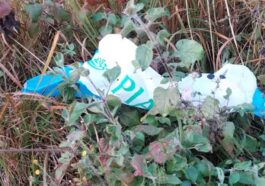 Himachal News Alert: हिमाचल में यहां मिला पाकिस्तान एयरलाइंस का गुब्बारा! लोग सहमे, मौके पर पहुंची पुलिस