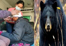 Bear Attack: भेड़-बकरियां चराने जंगल गए युवक पर भालू का हमला! बुरी तरह जख्मी