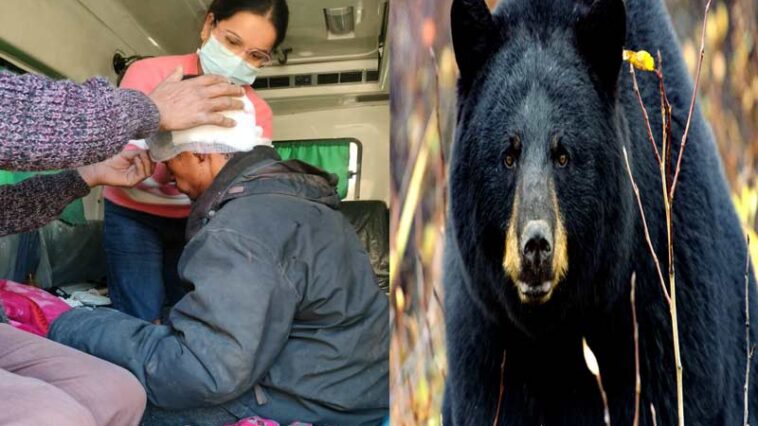 Bear Attack: भेड़-बकरियां चराने जंगल गए युवक पर भालू का हमला! बुरी तरह जख्मी