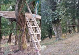 Himachal News: बिना लाइसेंस चल रही थी एडवेंचर एक्टिविटी! डीटीडीओ ने करवाई बंद, 4 संचालकों को नोटिस