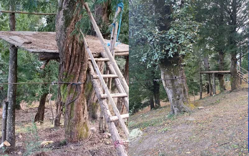 Himachal News: बिना लाइसेंस चल रही थी एडवेंचर एक्टिविटी! डीटीडीओ ने करवाई बंद, 4 संचालकों को नोटिस
