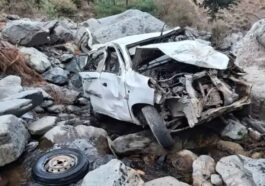 Accident In Himachal: बेकाबू होकर खाई में गिरी कार! व्यक्ति की मौत तो तीन की हालत गंभीर