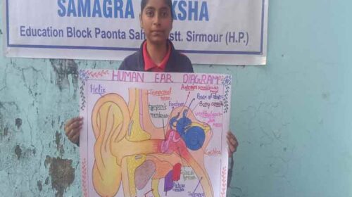 Paonta Sahib: जन्म से नहीं सुन पाती! पर रंगों से रचती कमाल, पांवटा की अदीबा की संघर्ष और कला की प्रेरक कहानी….