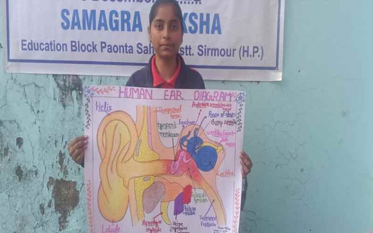 Paonta Sahib: जन्म से नहीं सुन पाती! पर रंगों से रचती कमाल, पांवटा की अदीबा की संघर्ष और कला की प्रेरक कहानी….