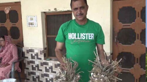 HP News: प्राकृतिक खेती पर अंतर्राष्ट्रीय सम्मेलन में गूंजा हिमाचल का नाम! किसान गदगद HP News: प्राकृतिक खेती पर अंतर्राष्ट्रीय सम्मेलन में गूंजा हिमाचल का नाम! किसान गदगद