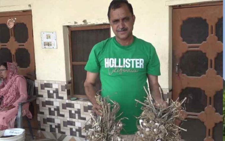 HP News: प्राकृतिक खेती पर अंतर्राष्ट्रीय सम्मेलन में गूंजा हिमाचल का नाम! किसान गदगद