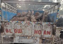 Himachal Crime News: हिमाचल में पकड़ी खैर की लकड़ी से लदी पिकअप! 27 लॉग बरामद, हिरासत में लिया चालक