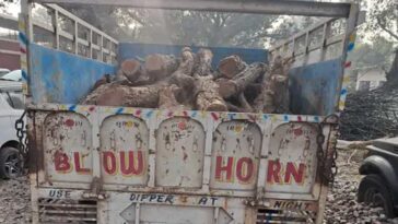 Himachal Crime News: हिमाचल में पकड़ी खैर की लकड़ी से लदी पिकअप! 27 लॉग बरामद, हिरासत में लिया चालक