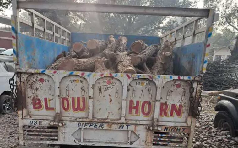Himachal Crime News: हिमाचल में पकड़ी खैर की लकड़ी से लदी पिकअप! 27 लॉग बरामद, हिरासत में लिया चालक