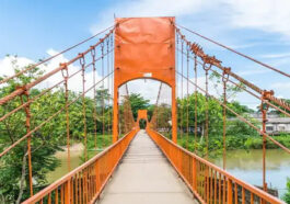 Himachal News Alert: युवक ने पुल से लगाईं छलांग! नहीं लगा कोई सुराग, व्हाट्सएप स्टेटस में लिखी थी यह बात…