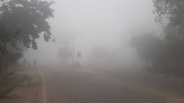 Himachal News: घने कोहरे और शीतलहर की एडवाइजरी जारी! सावधानी से चलाए वाहन, सेहत का रखे ख्याल..