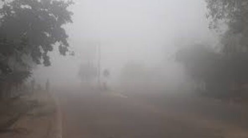 Himachal News: घने कोहरे और शीतलहर की एडवाइजरी जारी! सावधानी से चलाए वाहन, सेहत का रखे ख्याल.. Himachal News: घने कोहरे और शीतलहर की एडवाइजरी जारी! सावधानी से चलाए वाहन, सेहत का रखे ख्याल..