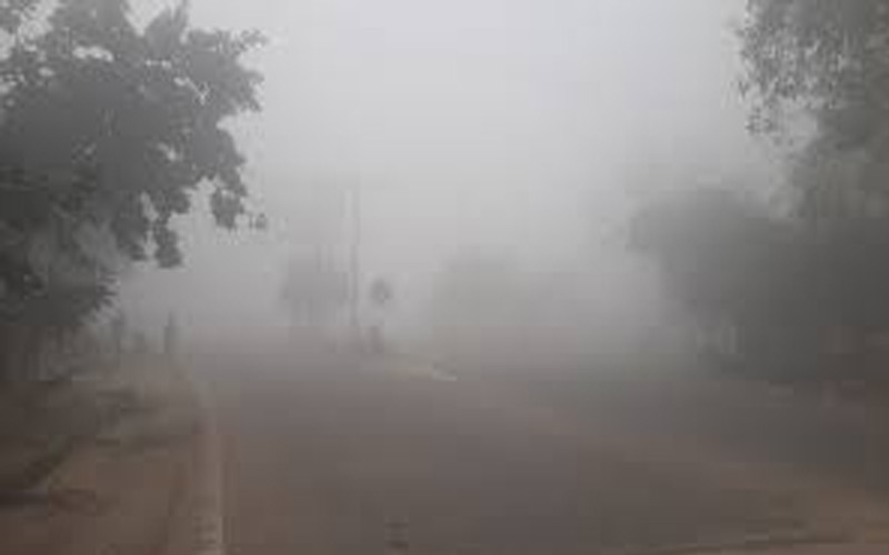 Himachal News: घने कोहरे और शीतलहर की एडवाइजरी जारी! सावधानी से चलाए वाहन, सेहत का रखे ख्याल..