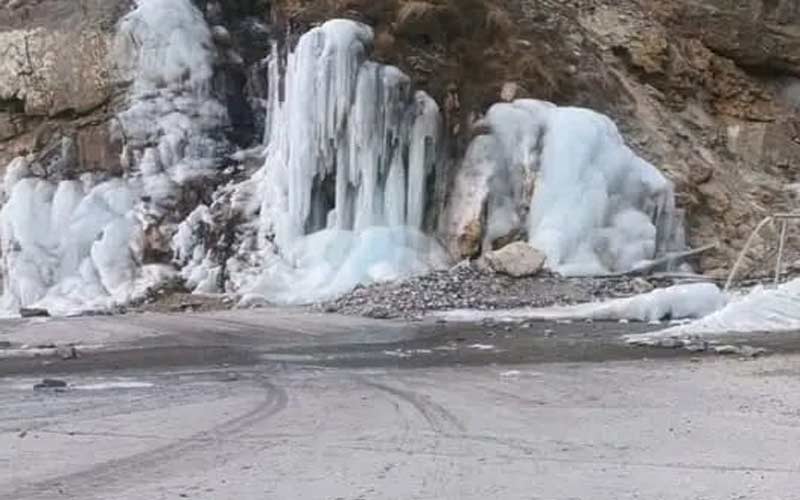 Himachal Weather: हिमाचल में शीतलहर और घने कोहरे का कहर! आज पहाड़ों पर बर्फ़बारी के आसार