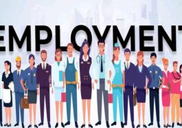 Jobs In Himachal: हिमाचल के युवक-युवतियों को नौकरी का शानदार मौका! 150 पदों पर भर्ती के लिए यहां होंगे कैंपस इंटरव्यू