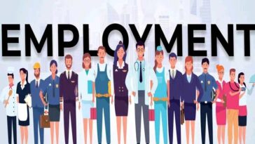 Jobs In Himachal: हिमाचल के युवक-युवतियों को नौकरी का शानदार मौका! 150 पदों पर भर्ती के लिए यहां होंगे कैंपस इंटरव्यू