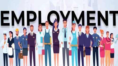 Jobs In Himachal: हिमाचल के युवक-युवतियों को नौकरी का शानदार मौका! 150 पदों पर भर्ती के लिए यहां होंगे कैंपस इंटरव्यू