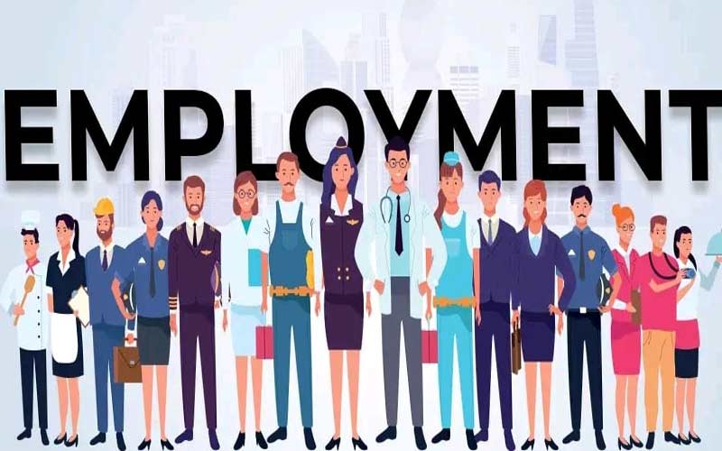 Jobs In Himachal: हिमाचल में यहां लग रहा अप्रेंटिसशिप मेला! कई नामी कंपनियां लेंगी भाग