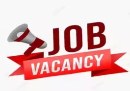 Jobs In Himachal: हिमाचल के 40 साल तक के युवाओं को नौकरी का शानदार मौका! 70 पदों की भर्ती के लिए यहां होंगे इंटरव्यू