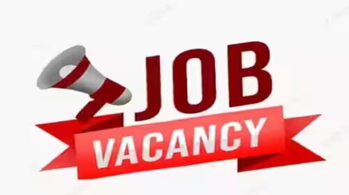 Jobs In Himachal: हिमाचल के 10वीं-12वीं पास युवाओं को नौकरी का मौका! 80 पदों पर हो रही भर्ती, इतनी मिलेगी सैलरी Jobs In Himachal: हिमाचल के 10वीं-12वीं पास युवाओं को नौकरी का मौका! 80 पदों पर हो रही भर्ती, इतनी मिलेगी सैलरी