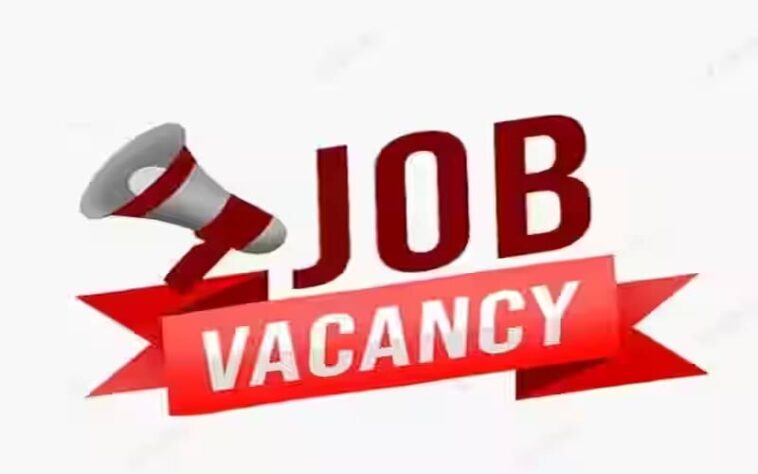 Jobs In Himachal: हिमाचल के 10वीं-12वीं पास युवाओं को नौकरी का मौका! 80 पदों पर हो रही भर्ती, इतनी मिलेगी सैलरी Jobs In Himachal: हिमाचल के 10वीं-12वीं पास युवाओं को नौकरी का मौका! 80 पदों पर हो रही भर्ती, इतनी मिलेगी सैलरी