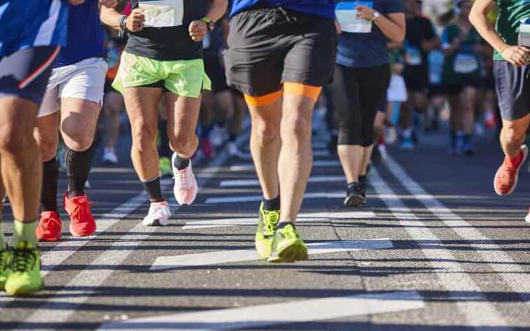 HP News: 25 दिसम्बर को होगी धर्मशाला मैराथन! देश-विदेश के धावक लेंगे भाग HP News: 25 दिसम्बर को होगी धर्मशाला मैराथन! देश-विदेश के धावक लेंगे भाग