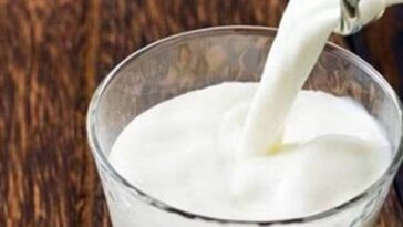 Himachal Latest News: जब गाय का दूध पीने से 17 अध्यापक और बीएड प्रशिक्षुओं की बिगड़ गई तबियत! जानिए पूरा मामला