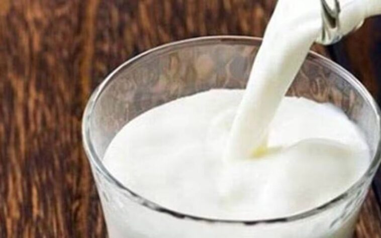 Himachal Latest News: जब गाय का दूध पीने से 17 अध्यापक और बीएड प्रशिक्षुओं की बिगड़ गई तबियत! जानिए पूरा मामला Himachal Latest News: जब गाय का दूध पीने से 17 अध्यापक और बीएड प्रशिक्षुओं की बिगड़ गई तबियत! जानिए पूरा मामला