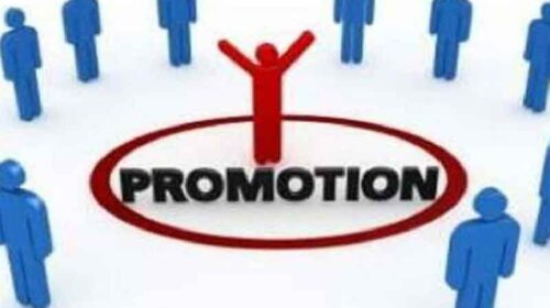 Himachal Latest News: हिमाचल के 235 टीजीटी और प्रमोटी प्रवक्ता को प्रमोशन का तोहफा! बने हेडमास्टर Himachal Latest News: हिमाचल के 235 टीजीटी और प्रमोटी प्रवक्ता को प्रमोशन का तोहफा! बने हेडमास्टर