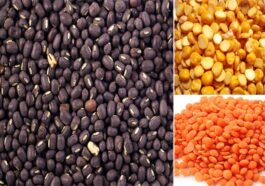 Himachal News Update: राशन डिपुओं में सस्ती मिलेगी चना दाल! उड़द के दाम बढ़े, यहां जाने नए रेट