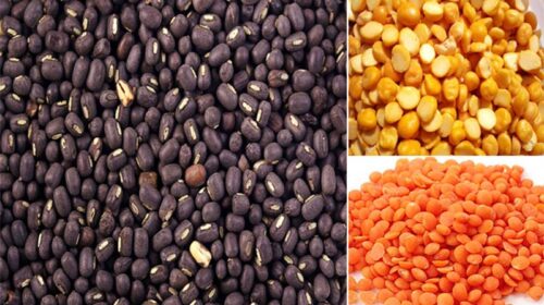 Himachal News Update: राशन डिपुओं में सस्ती मिलेगी चना दाल! उड़द के दाम बढ़े, यहां जाने नए रेट