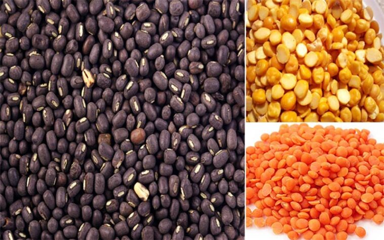 Himachal News Update: राशन डिपुओं में सस्ती मिलेगी चना दाल! उड़द के दाम बढ़े, यहां जाने नए रेट Himachal News Update: राशन डिपुओं में सस्ती मिलेगी चना दाल! उड़द के दाम बढ़े, यहां जाने नए रेट