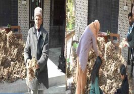 HP News: हिमाचल के रिटायर्ड प्रिंसिपल ने उगाई दस क्विंटल हल्दी! बेटा डॉक्टर और बहू भी सरकारी अफसर, फिर भी नहीं छोड़ी खेती