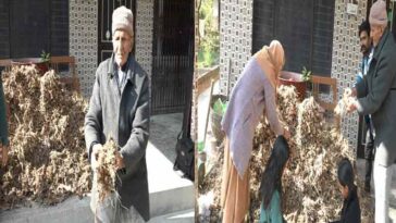 HP News: हिमाचल के रिटायर्ड प्रिंसिपल ने उगाई दस क्विंटल हल्दी! बेटा डॉक्टर और बहू भी सरकारी अफसर, फिर भी नहीं छोड़ी खेती