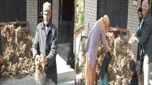 HP News: हिमाचल के रिटायर्ड प्रिंसिपल ने उगाई दस क्विंटल हल्दी! बेटा डॉक्टर और बहू भी सरकारी अफसर, फिर भी नहीं छोड़ी खेती