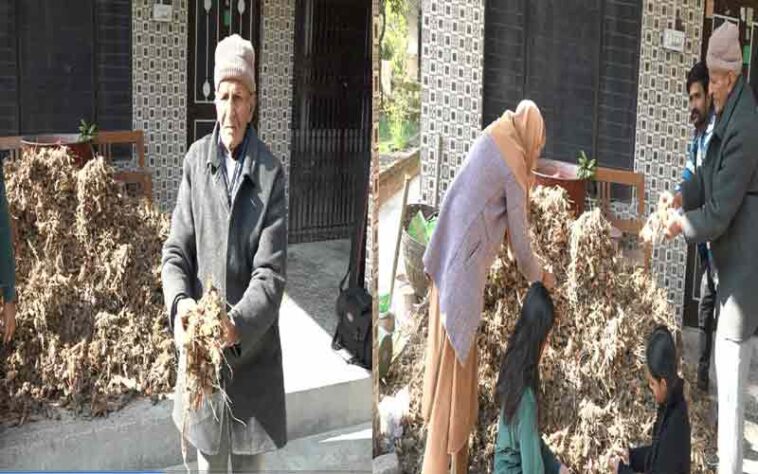 HP News: हिमाचल के रिटायर्ड प्रिंसिपल ने उगाई दस क्विंटल हल्दी! बेटा डॉक्टर और बहू भी सरकारी अफसर, फिर भी नहीं छोड़ी खेती