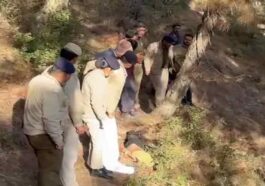 Himachal News Alert: जंगल से मिला दसवीं कक्षा की छात्रा का शव! 6 दिन से थी लापता, शरीर पर जानवरों के नोचने के निशान