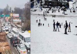 Himachal Tourism: बर्फबारी के बाद हिमाचल में उमड़े टूरिस्ट! शिमला-मनाली में भीड़, सड़कों पर लगा जाम
