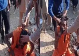 Sirmour News: साधु के साथ बदसलूकी! उपप्रधान सहित ग्रामीणों ने जबरन काटी दाढ़ी और जटाएं, मारपीट के भी आरोप