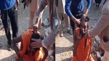 Sirmour News: साधु के साथ बदसलूकी! उपप्रधान सहित ग्रामीणों ने जबरन काटी दाढ़ी और जटाएं, मारपीट के भी आरोप