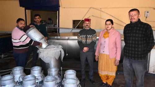 Sirmour News : दूध के बेहतरीन दाम मिलने से सिरमौर के पशुपालक खुश! मिल्क फेड को 1562 दुग्ध उत्पादक रोजाना दे रहे सप्लाई Sirmour News : दूध के बेहतरीन दाम मिलने से सिरमौर के पशुपालक खुश! मिल्क फेड को 1562 दुग्ध उत्पादक रोजाना दे रहे सप्लाई