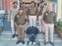 Himachal News Update: हिमाचल में तीन तस्कर काबू! कब्जे से मिला चिट्टा, पुलिस ने ऐसे दबोचे आरोपी