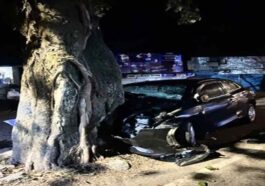 Accident In Himachal: पेड़ से टकराई बेकाबू कार! युवक ने गवाई जान, तीन की हालत गंभीर