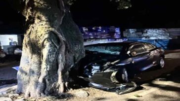 Accident In Himachal: पेड़ से टकराई बेकाबू कार! युवक ने गवाई जान, तीन की हालत गंभीर